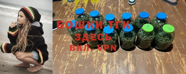 амф Богданович