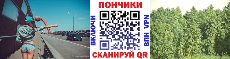 Бошки Шишки AK-47  Эртиль 
